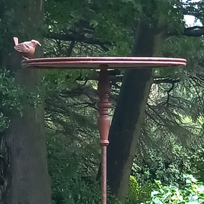 Garden Bird Table with Wren