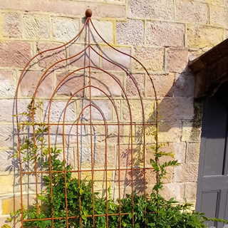 Ogee Screen