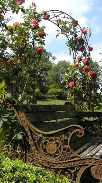 Rose Arch